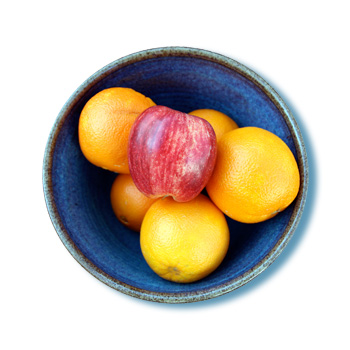 In biomedical research, astounding things happen when people from diverse disciplines work together in a coordinated way. “Be an apple in a bowl of oranges,” said Frances Jensen, director of epilepsy research at Children’s Hospital. Photo by Jake Miller. 