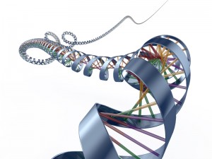 This platform for querying autoimmune disease is directly linked to the Human Genome Project, which has made available almost all of the genes the body needs in order to build, operate and repair itself. 