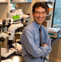 Seward Rutkove. Photo by Bruce Wahl/Beth Israel Deaconess Medical Center