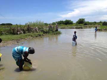 Haitian villagers draw water from a local river.  Photo by Wilfredo Matias. 