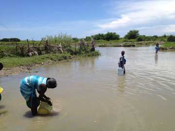 Haitian villagers draw water from a local river. Photo by Wilfredo Matias. 