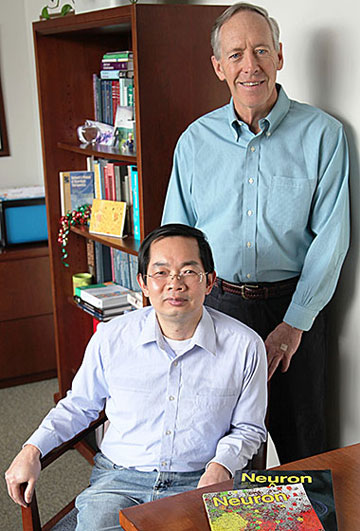 Dennis Selkoe (standing) and Assistant Professor Shaomin Li found that exposing the brain to novel activities in particular provided greater protection against Alzheimer’s disease than did just aerobic exercise. Photo courtesy of Brigham and Women's Hospital