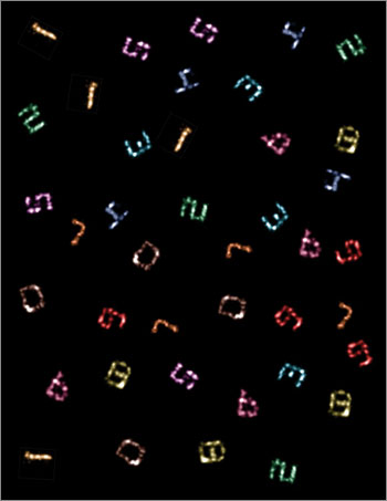 Ten-color super-resolution images (artificially arranged into one composite) of synthetic DNA nanostructures displaying patterns that resemble the numerals “0” through "9,” produced by Exchange-PAINT using only a single dye and a single laser source. Image: Johannes B. Woehrstein/Wyss Institute 