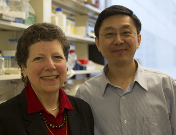 Barbara Kahn and Qin Yang. Image: James Derek Dwyer/BIDMC Media Services