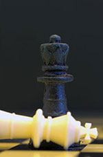 Researchers molded a series of chess pieces made of chitosan bioplastic, demonstrating a new way towards mass-manufacturing large 3D objects with complex shapes made of fully compostable materials. Credit: Harvard's Wyss Institute