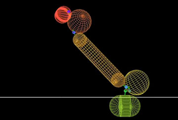 Watch the computational model as it simulates the behavior of a fusion-protein drug molecule after the targeting protein has attached to a cell. Video: Wyss Institute