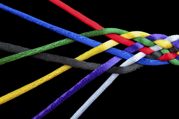 Image: iStockPhoto