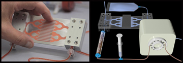 The spleen-like blood-cleansing device makes use of genetically modified blood proteins coated on magnetic nanoparticles and magnetic forces to pull a variety of pathogens from the blood. Image: Harvard’s Wyss Institute