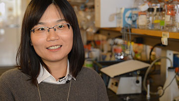 Postdoctoral researcher Wenjun Xiong, along with HMS genetics professor Connie Cepko, talk about developing a gene therapy to stave off blindness.