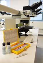 Microscope and materials in TMEC learning suite lab. Image: Bethany Versoy
