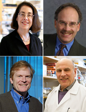 Clockwise from top left: Arlene Sharpe, Daniel A. Haber, Christopher A. Walsh and Dennis Kasper