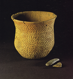 A 4,500-year-old Beaker pot from Newmill, Scotland. Image courtesy Alison Sheridan