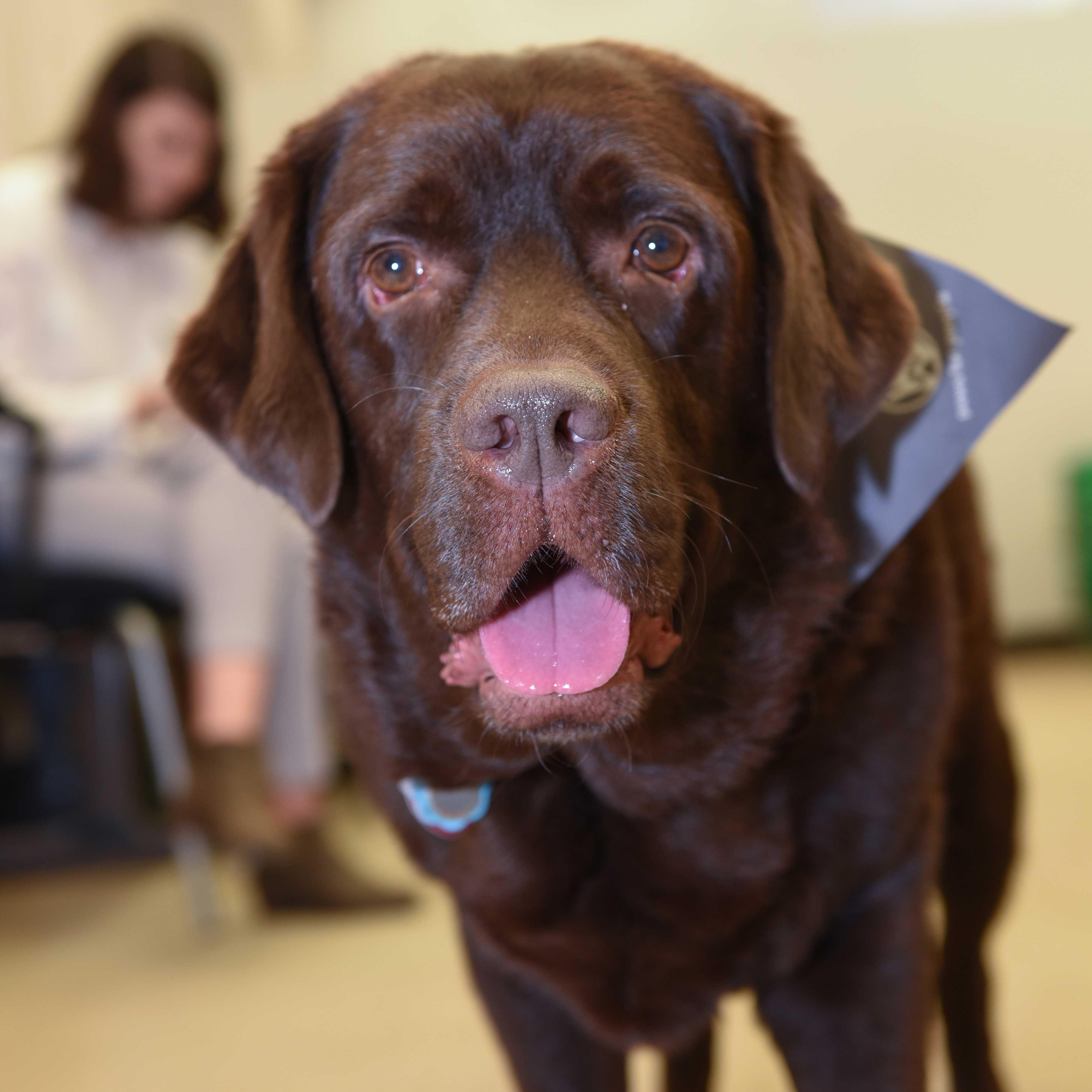 Jeter at the Countway Library. Image: Rick Groleau