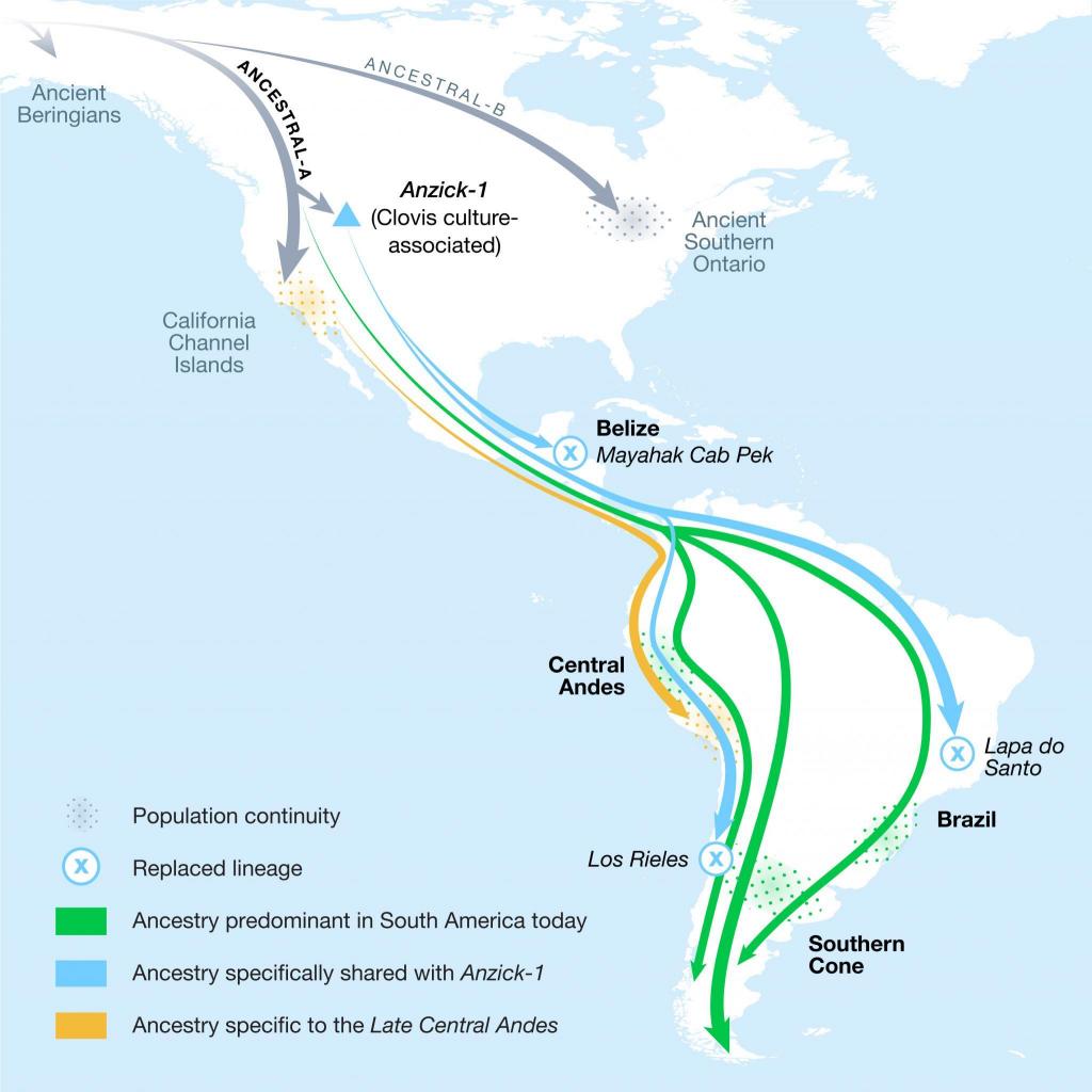 Illustrated map shows ancient population movement between North and South America, reconstructed from genetic analysis.