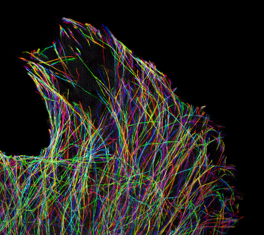 Tangle of rainbow-colored lines against a black background