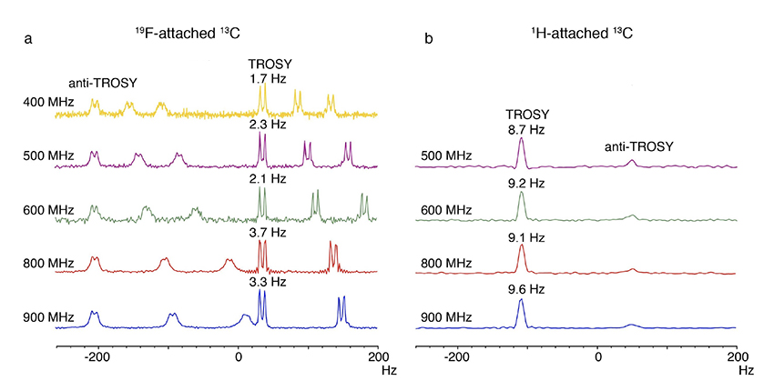 Side by side graphs show wider versus narrower peaks in spectral patterns