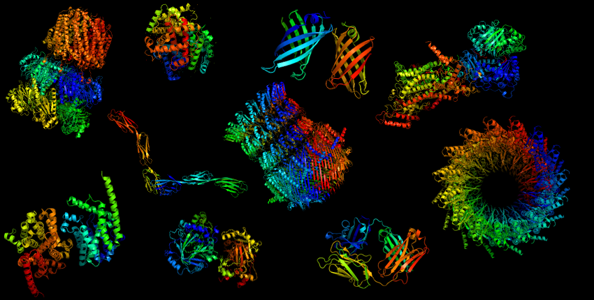 More than just pattern recognition: Prediction of uncommon protein  structure features by AI methods