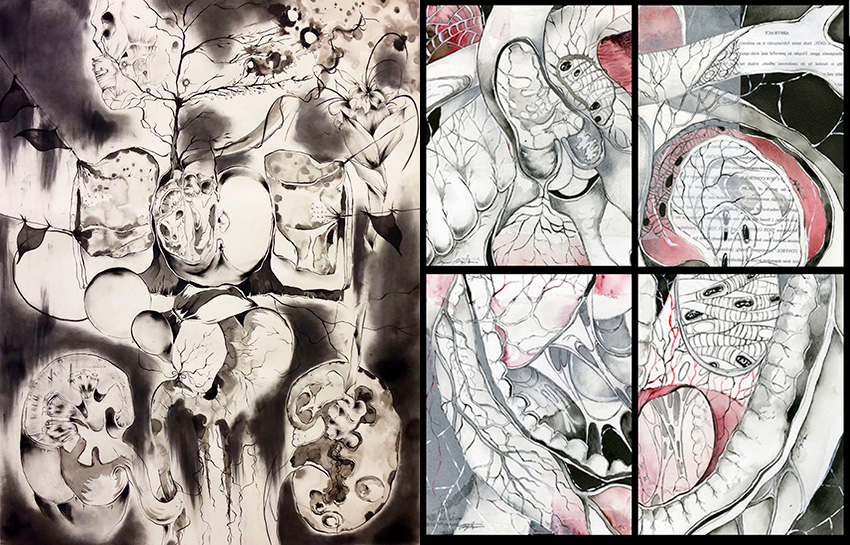 charcoal on paper shows an artistic interpretation of the body’s internal organs and watercolor and ink on paper shows four views of the heart