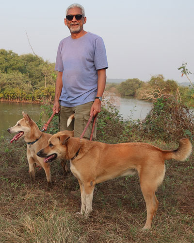 Man by a river with two leashed dogs