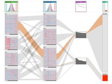 A new tool helps researchers uncover patterns among cancer patient sets. Image: Caleydo team