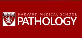 pathology logo