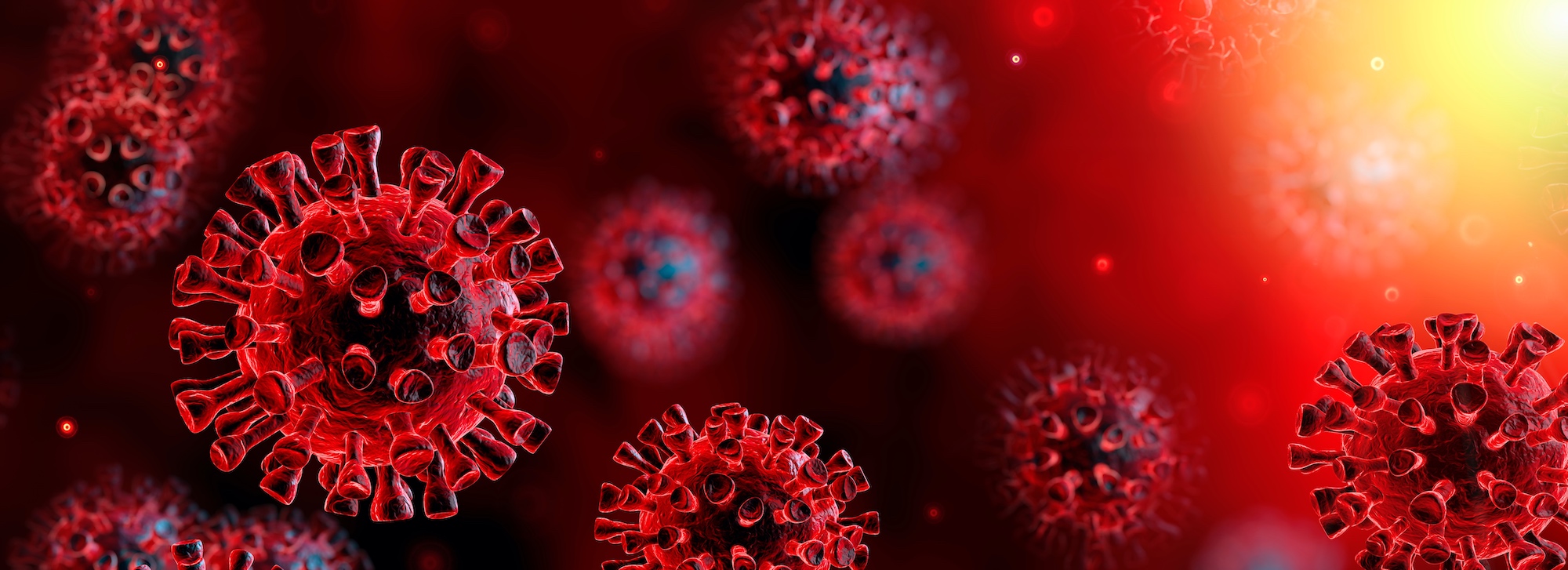 artistic rendering of the virus