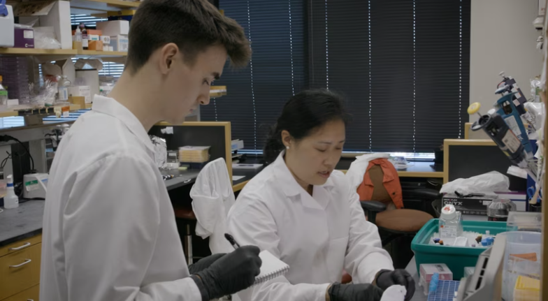 two people in lab coats working over microscopes