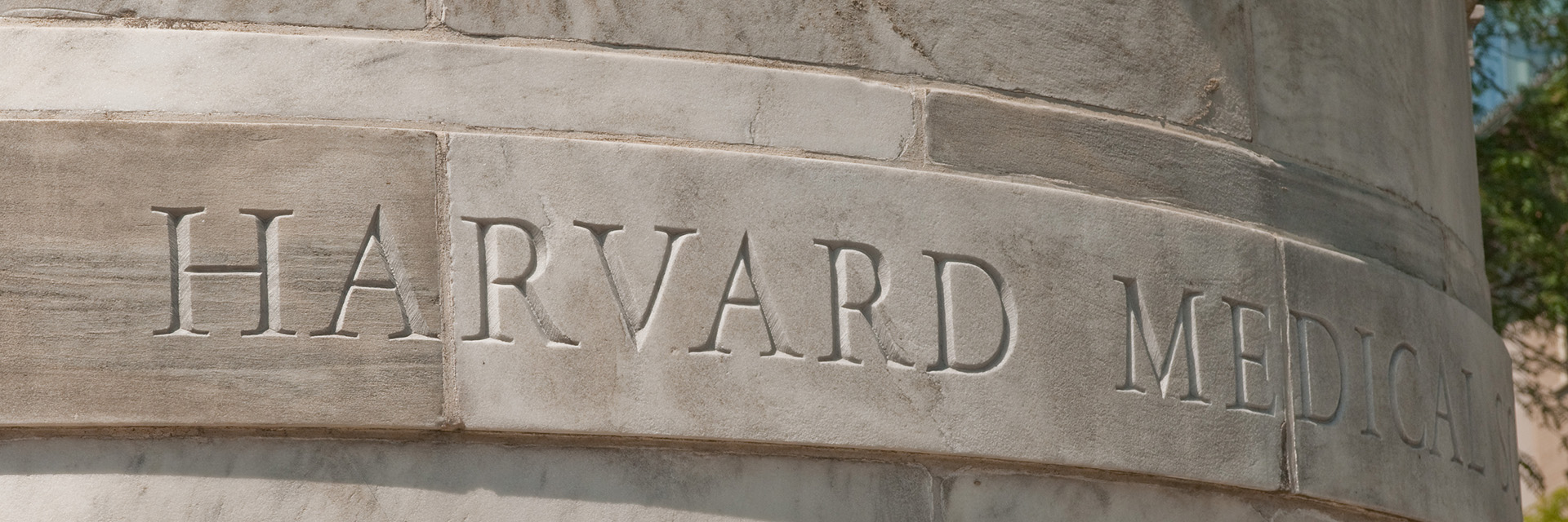 Harvard Medical School carved into wall flanking steps to quadrangle
