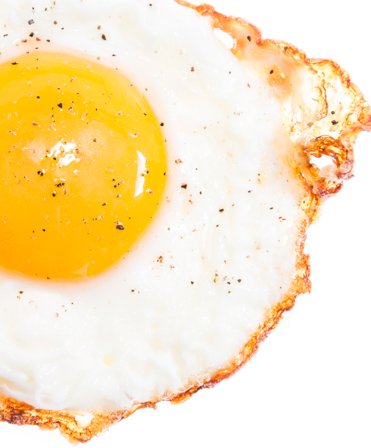 close-up of an egg, sunny side up
