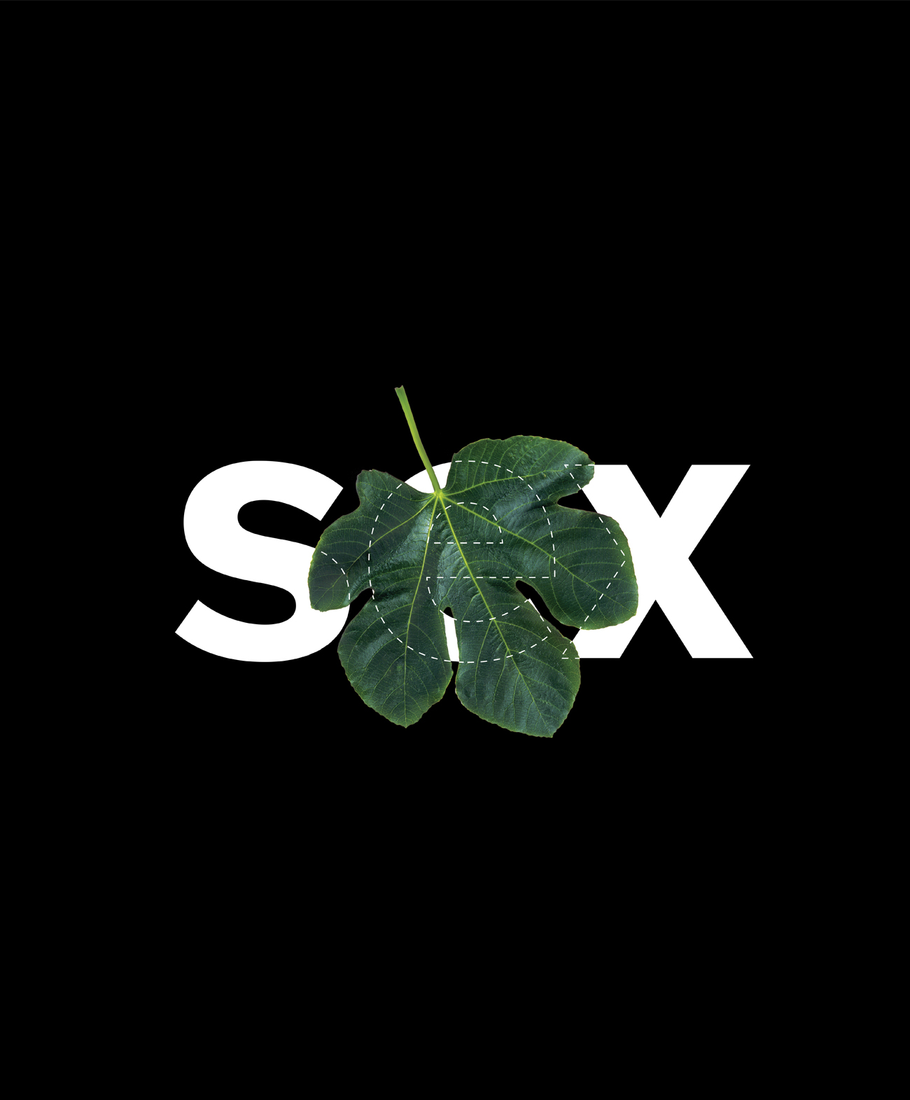 illustration of a fig leaf covering the word "sex"
