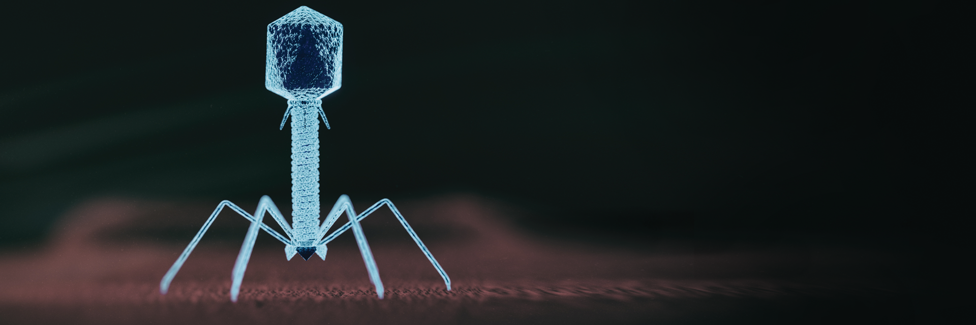 illustration of a phage