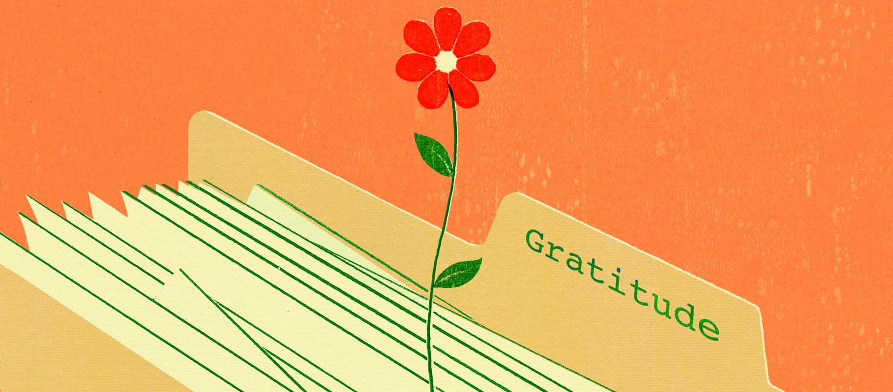 illustration of a manila folder with paper sheaves in a flower growing out