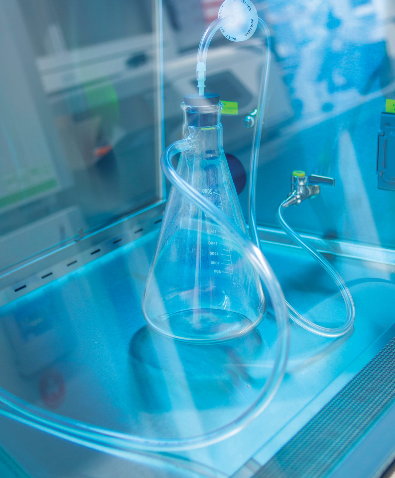glassware in a laboratory