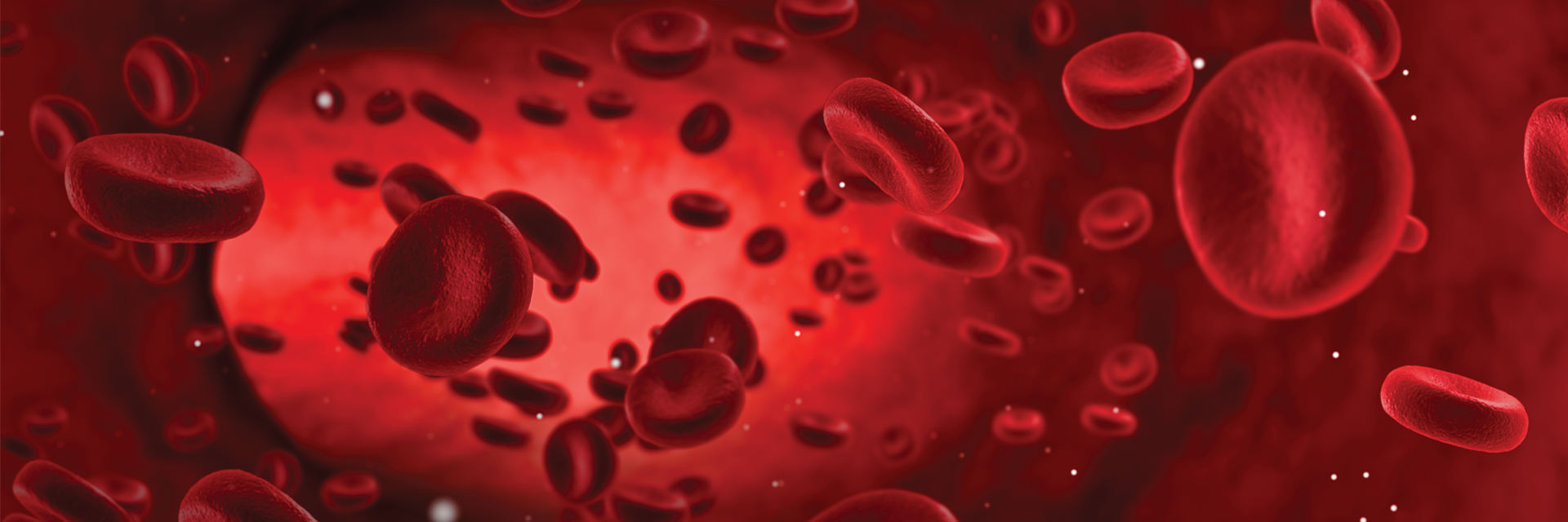 illustration of red blood cells moving through a blood vessel