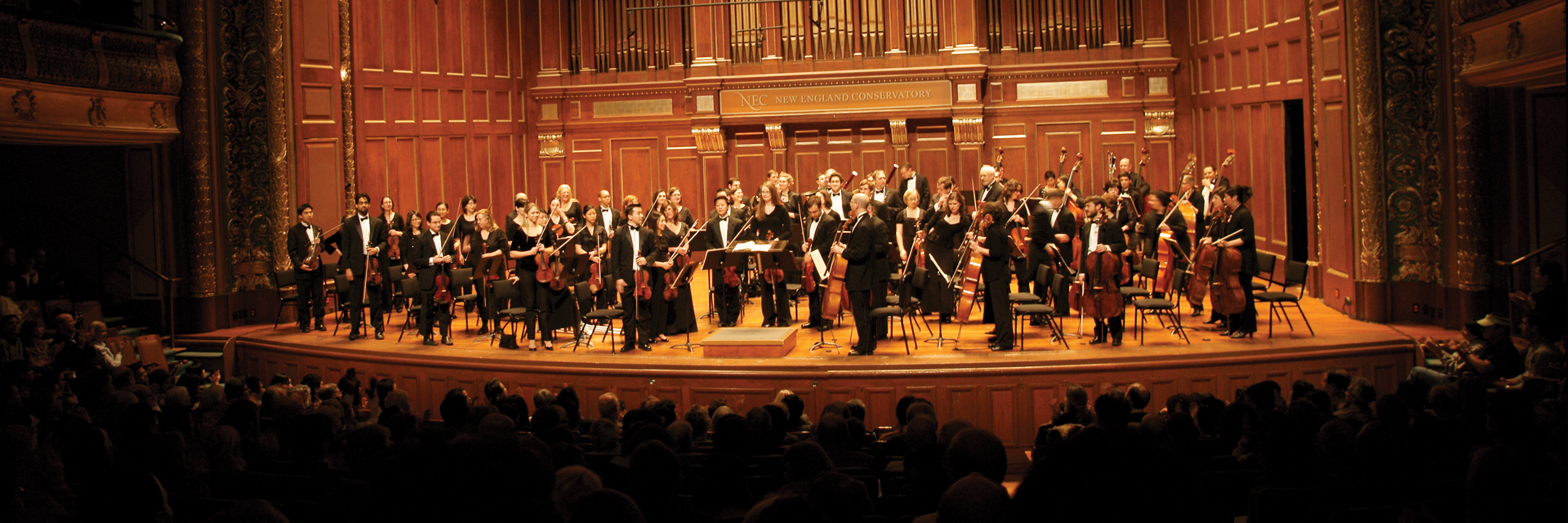 Longwood Symphony Orchestra during a performance