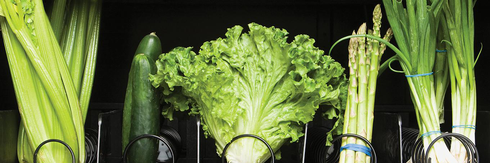 Vegetables in a vending machine