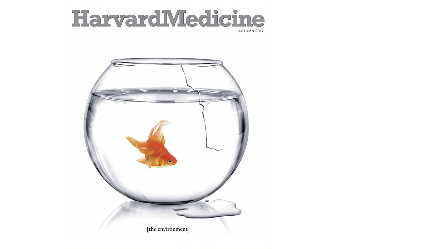 Cover Story