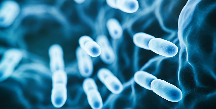 Digital art of an engineered probiotic bacteria