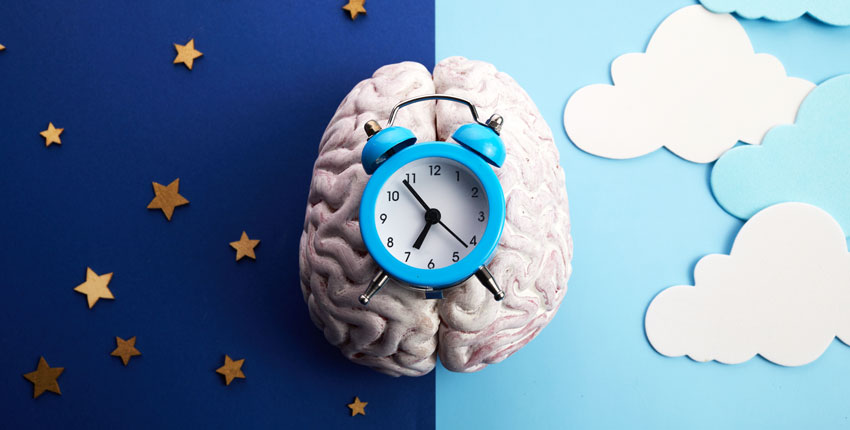 A stylized image of a brain under an alarm clock on a background that is half day and half night