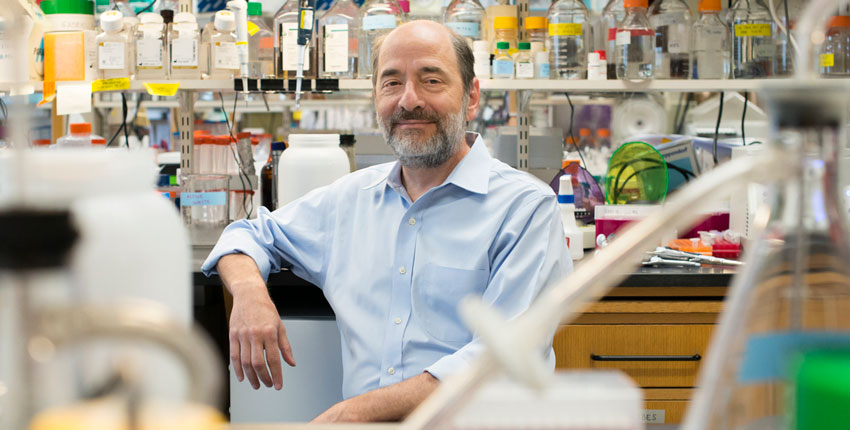 A photo of Greenberg sitting in his lab and leaning on a lab bench, surrounded by lab supplies