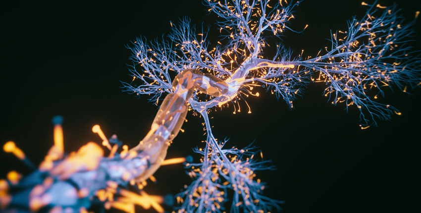 Neuron cell close-up view - 3d rendered image of Neuron cell on black background. SEM view interconnected neurons synapses. Abstract structure conceptual medical image. Synapse. Healthcare concept.