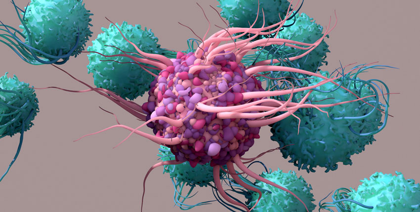 Illustration of a T cell 