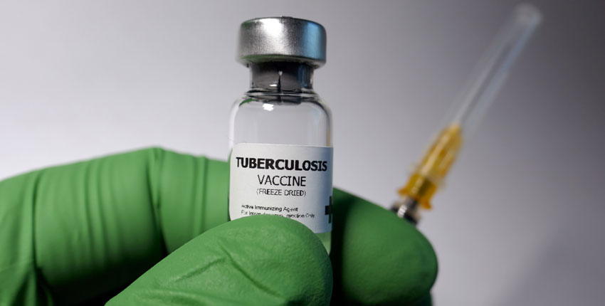 Photo of a gloved hand holding a vial of TB vaccine and a syringe 