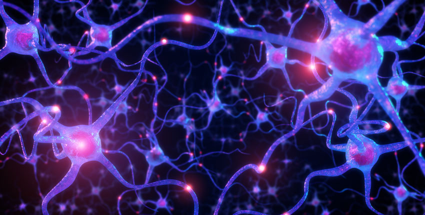 A purple network of neurons lit up in different spots