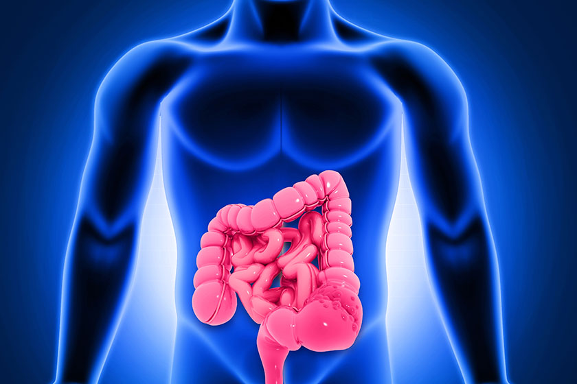 rendering of a silhouette in blue and colon in red 