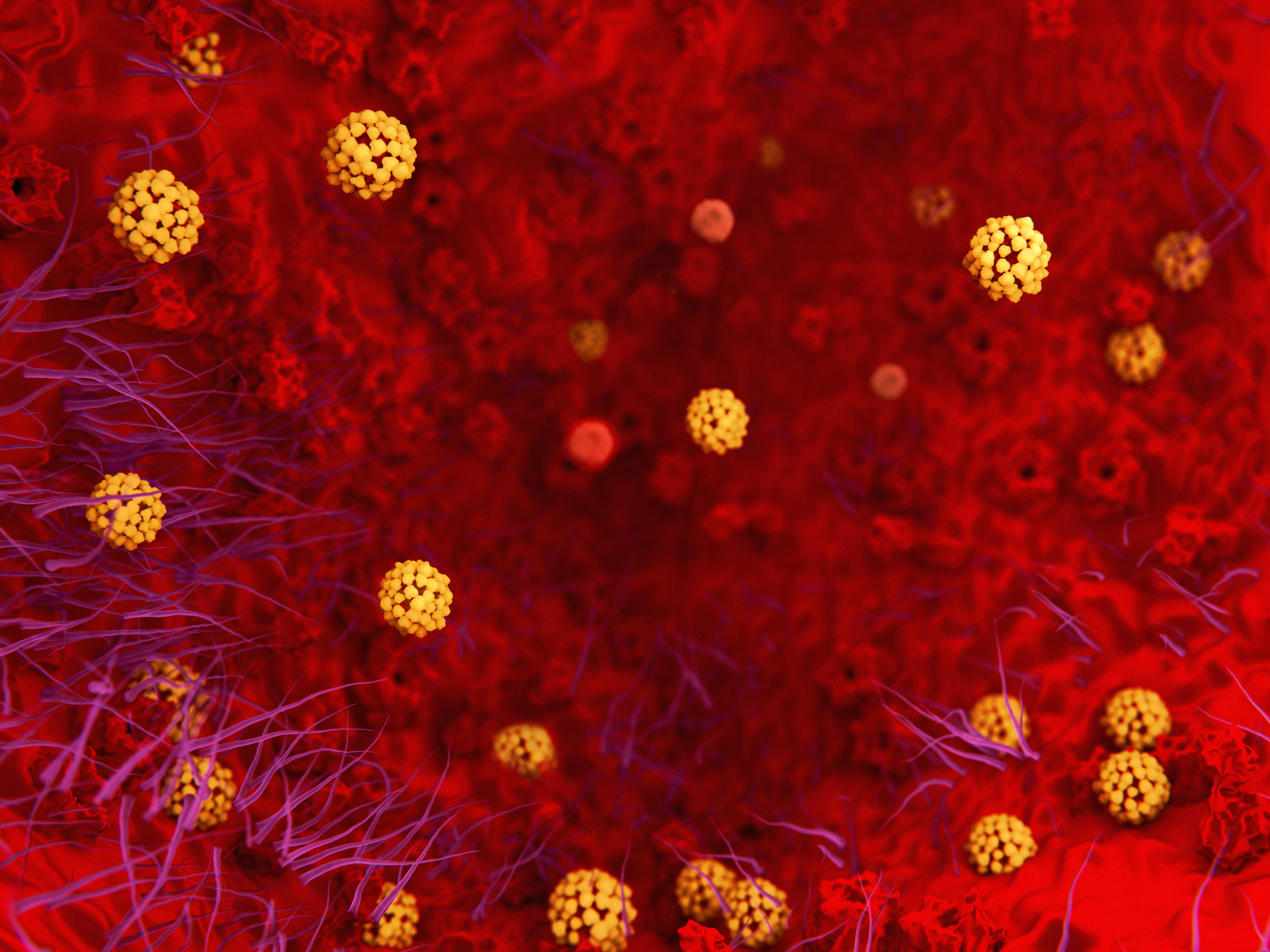 Illustration of the coronavirus in the lungs 