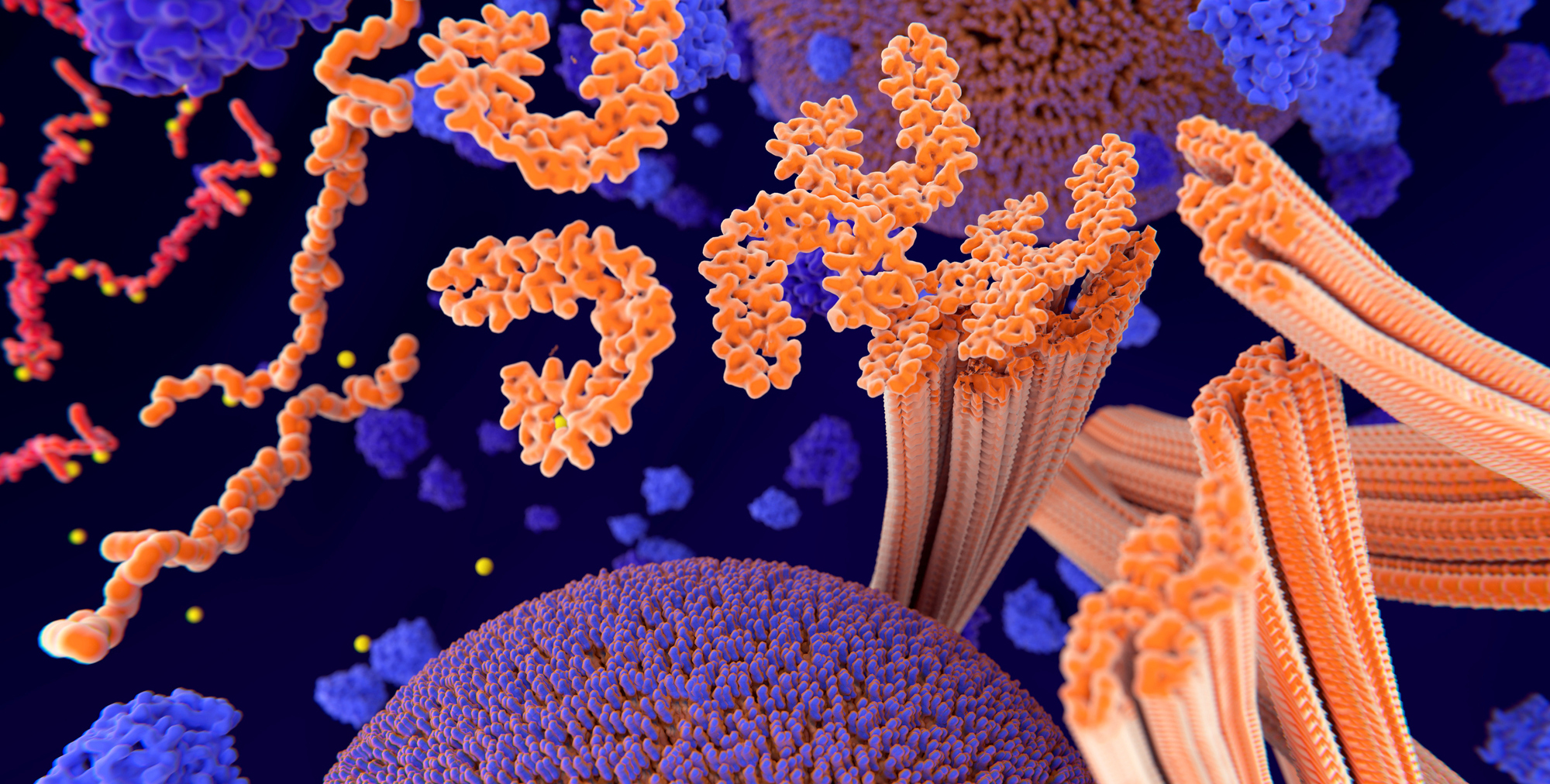 Stylized representation of phosphorylation of tau proteins