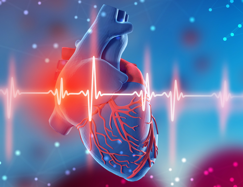 illustration of human heart with electrocardiogram readout