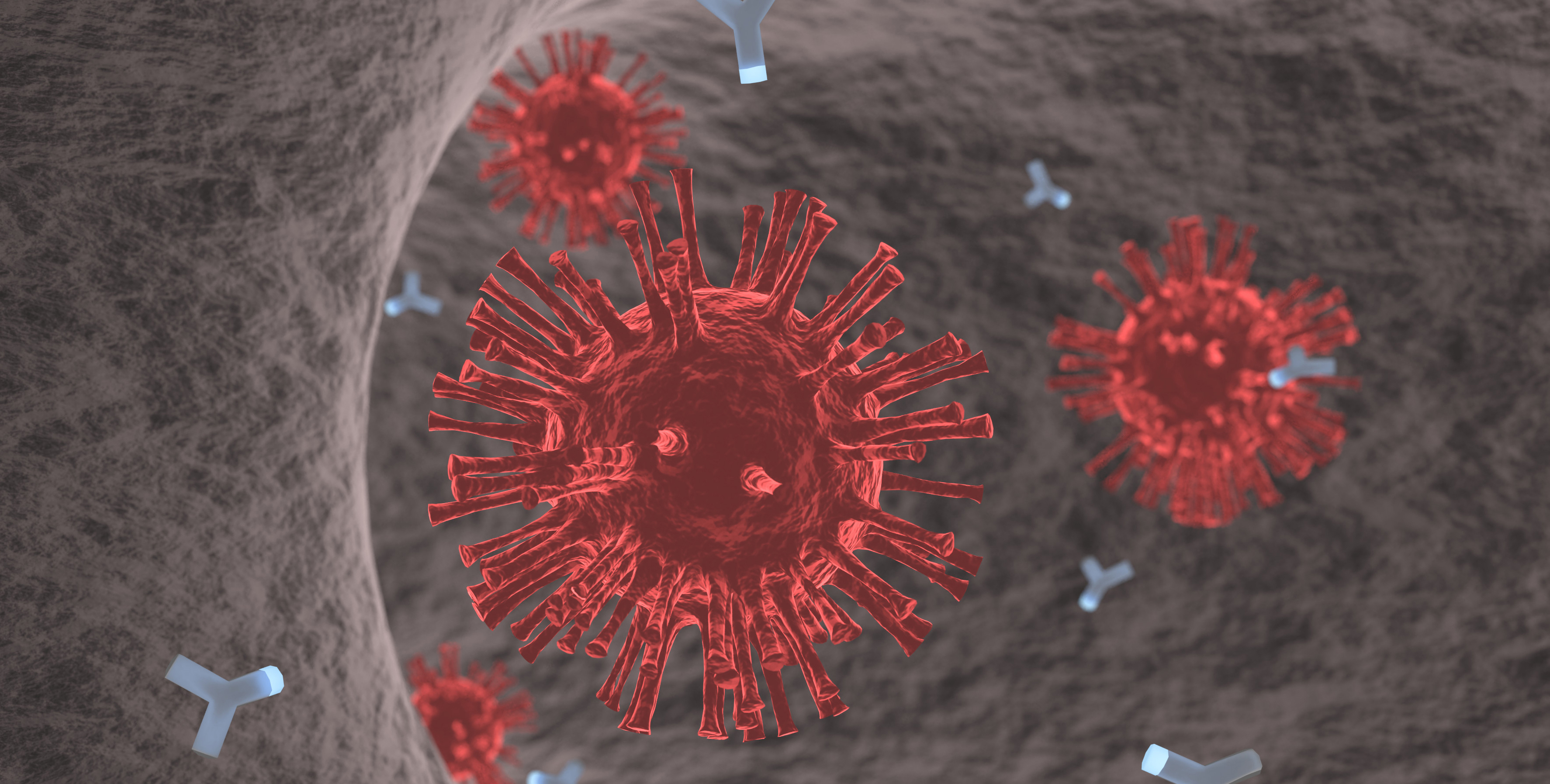 Illustration of coronavirus with antibodies circling it