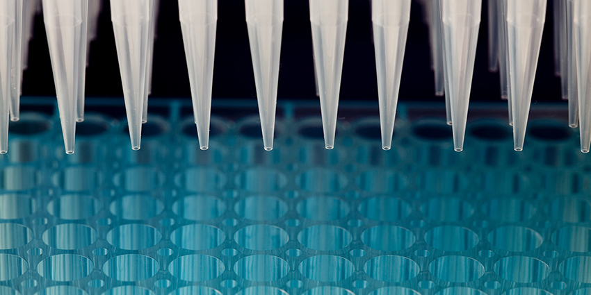 Row of pipettes over a tray of vials